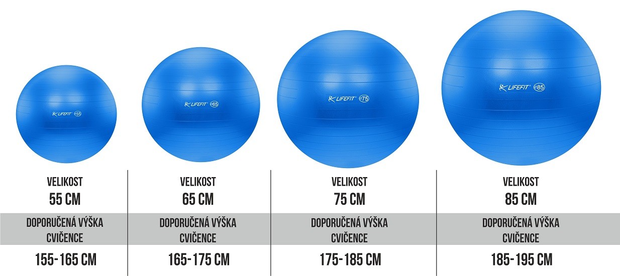 f-gym-12_vel